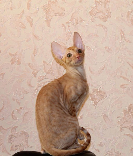 (( Людмила ))