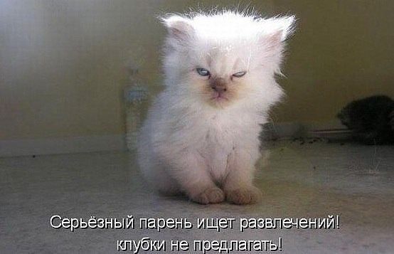 Альберт Айс