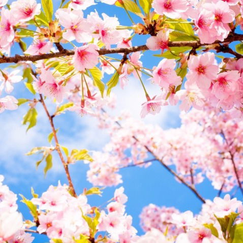 Галина Викторовна