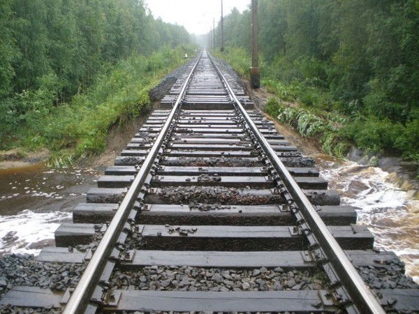 Михаил Заболотнев