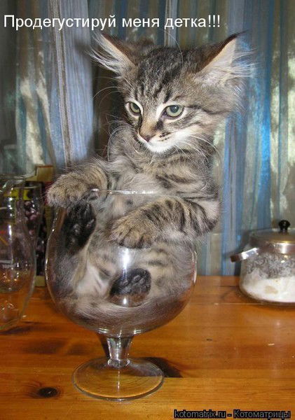 Андрей Бехтерев