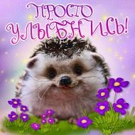 Наталья Аксенова