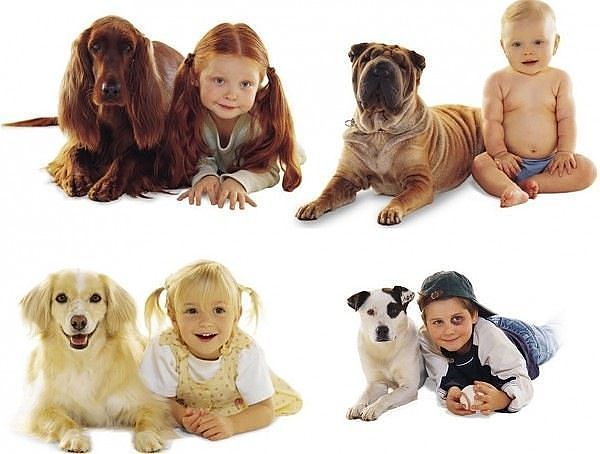 Инна Колесникова