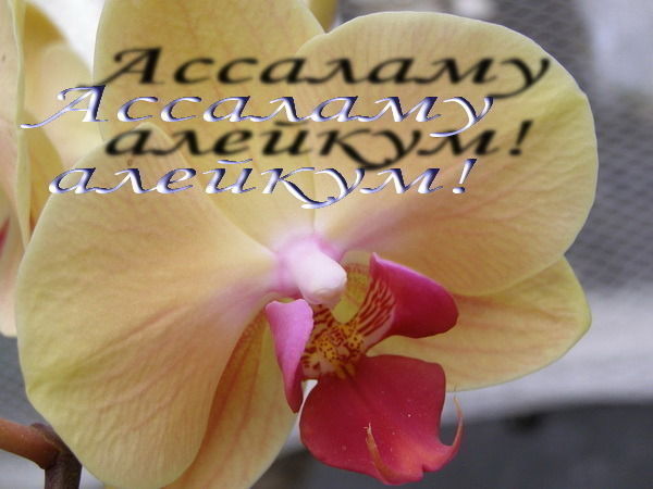 Фатима Иминова