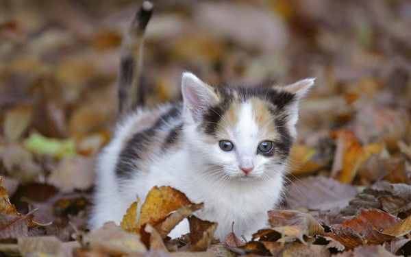 Валентина Ивакина