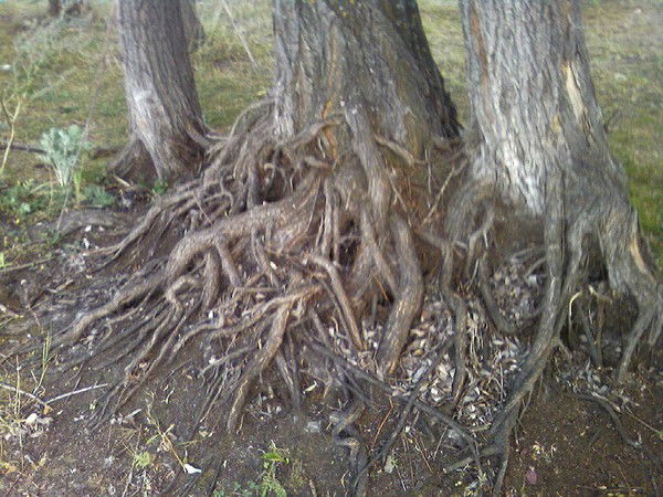 Ришат Ахметов