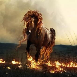 Анна Ракина