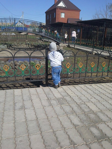 Дарья Шапошникова