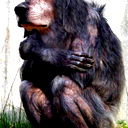 Slawa Osipow