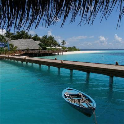 Ира Кривошеенко