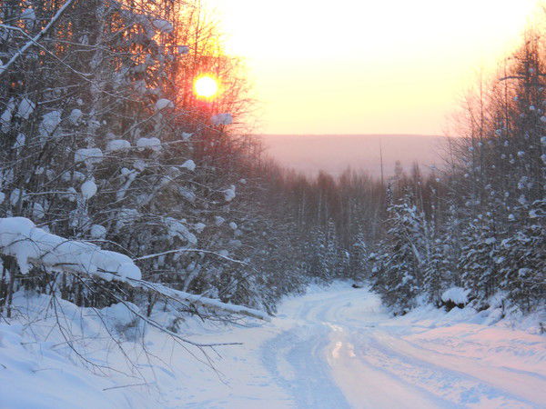 Женя Ковалев