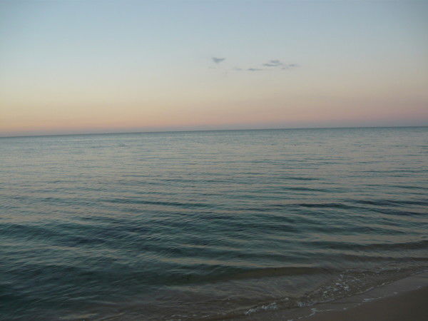 Татьяна Логина