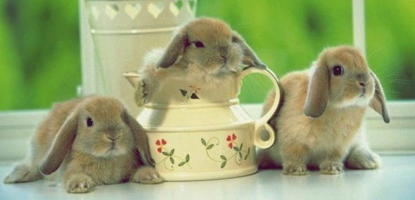 Татьяна Иваныш