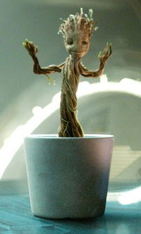 Влад Варанов