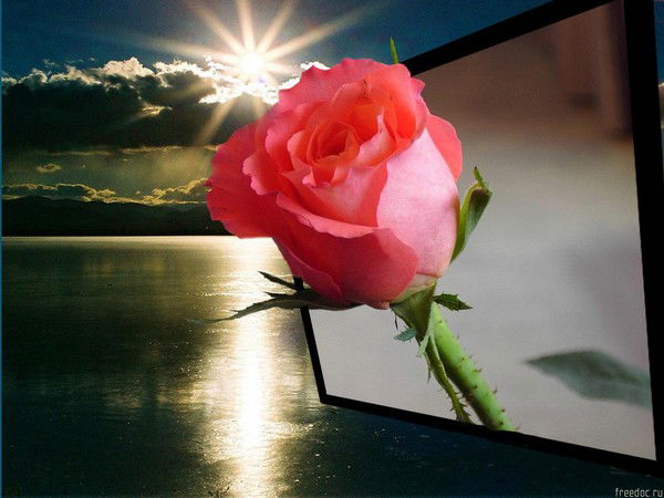 Лина Иванова