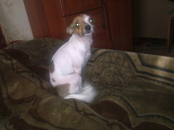 Светлана Савина