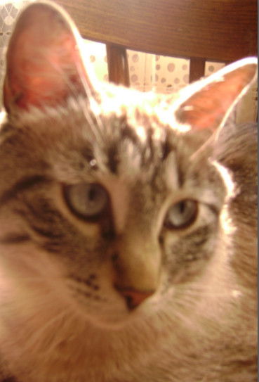 Наталья Тимофеева