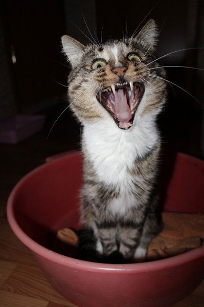 Мария Александровна