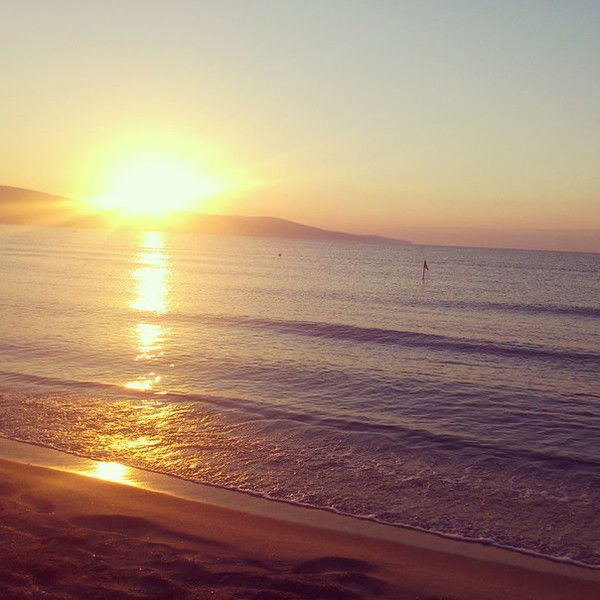 Алексей Терсков