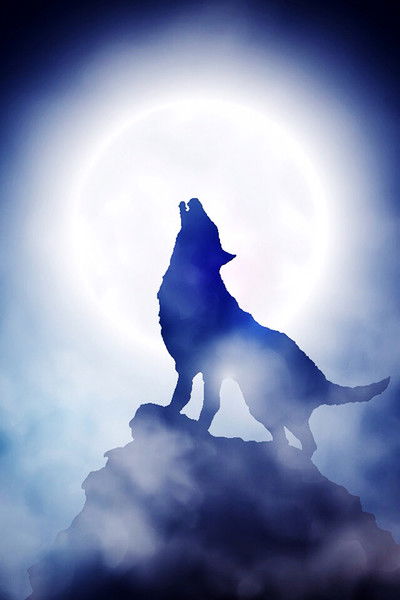 Алексей Хван