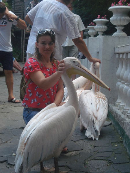 Светлана Шарафетдинова