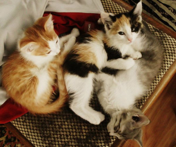 Евгений Суздалев