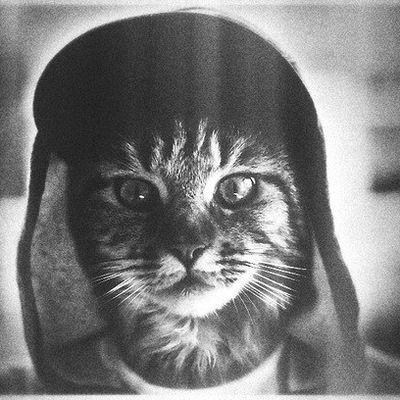 Андрей Разумов