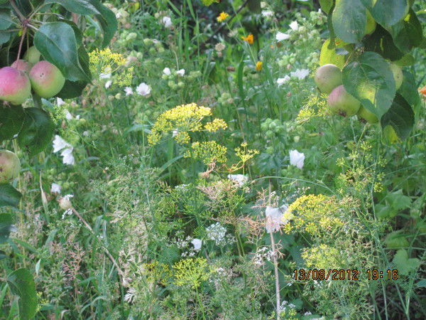 Наталия Ульянова