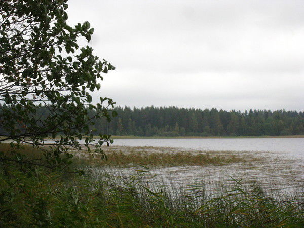 Виталий Безбогин