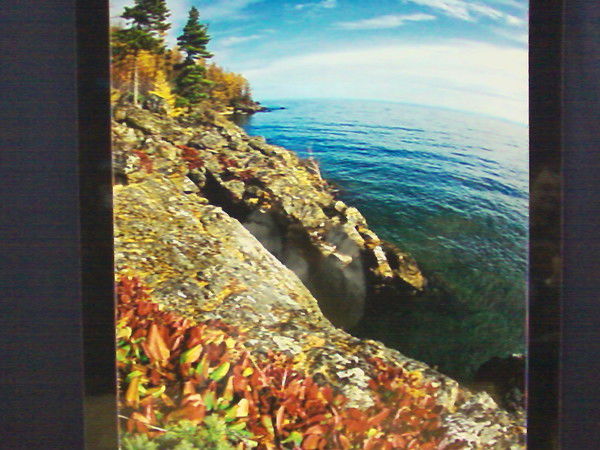 Дима Померанцев