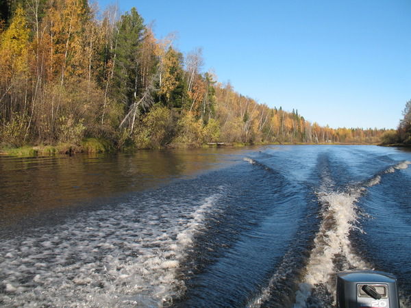 Алексей Дегтярев