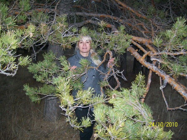 Светлана Лерх