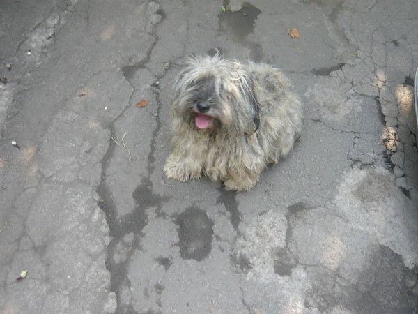 Инна Бобырь