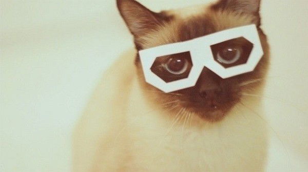 Анастасия Пеняева