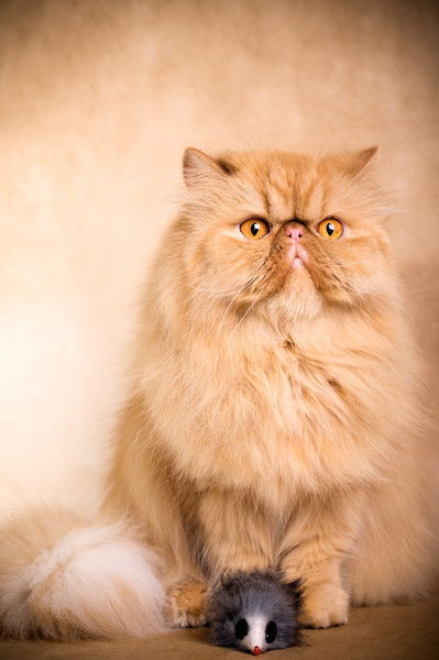 Владимир Иваров