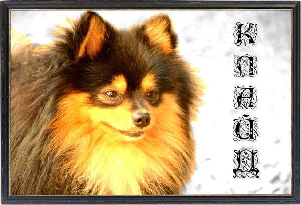 Сергей Младенцев