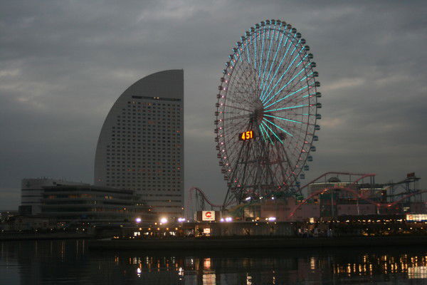 Светлана Янина