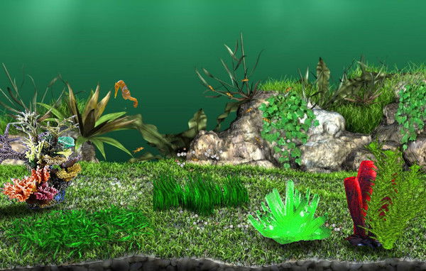 Витек Витек