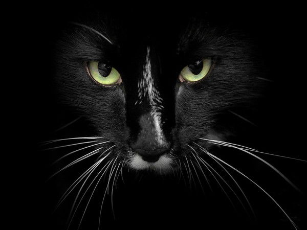 Маргарита Дмитриева