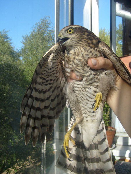 Юлия Полуянова