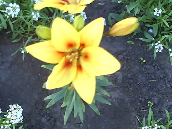 Ооо Финрайс