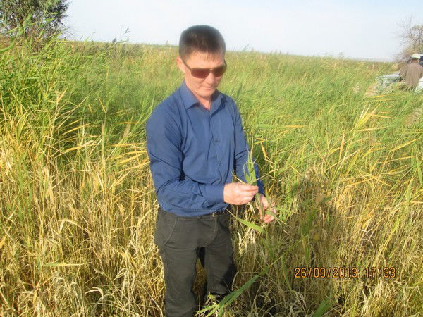 Рмцфдп Уштобе