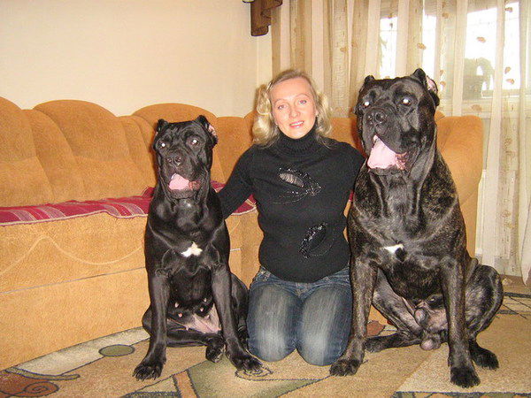 Елена Чекатовская