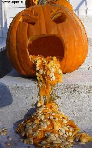 Роман Шелковский