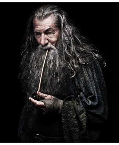 Gandalf You-Shall-Not-Pass