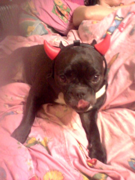 Виктория Гаврилова