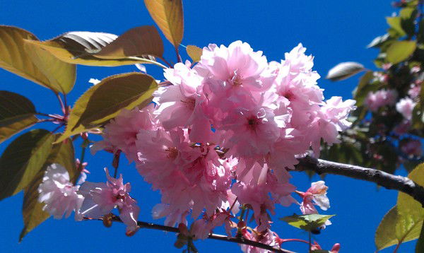 Владимир Шатковский