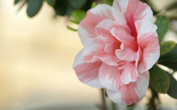 Юлия Юдкина (Кожина)