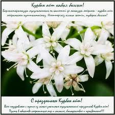 Талгат Бейсекеев