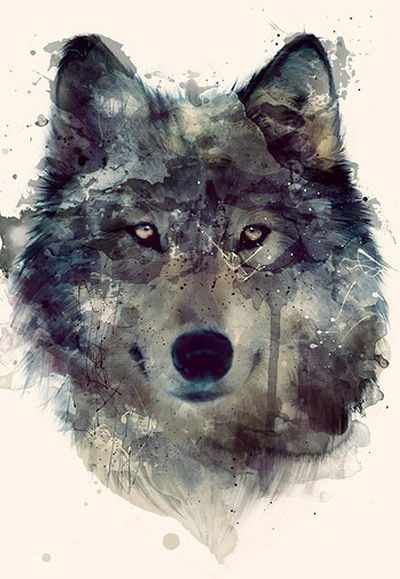 Роман Афанасьев